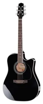 Takamine EF341SC w/Softcase