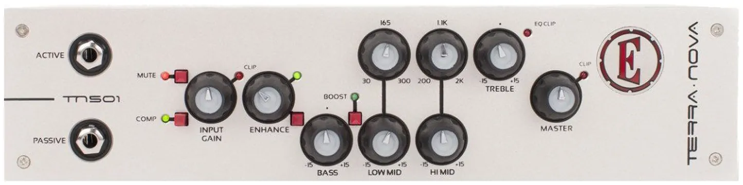 Eden Terra Nova 225W Bass Amp