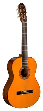 Washburn C5 Classical - Natural Nylon Strung Guitar
