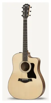 Taylor 110Ce Sapele Spruce
