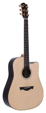 Tagima CF3000 Natural Folk