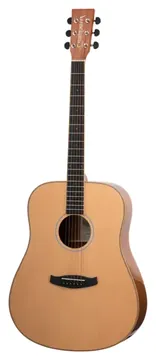 Tanglewood DBT-D-PG-LH Left Handed Acoustic Guitar