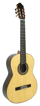 Delgada Konzertgitarre DG-55
