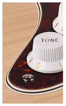 Boston ST-444-TI pickguard