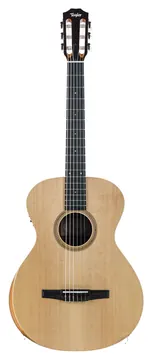 Taylor Academy 12e-N