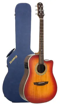 Strinberg Diamond DD5SC CB Folk com case