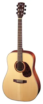 Cort Earth E100ns Natur seidenmatt