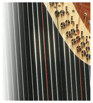 Bow Brand Pedal Natural Gut 5th Octave C=DO No.31
