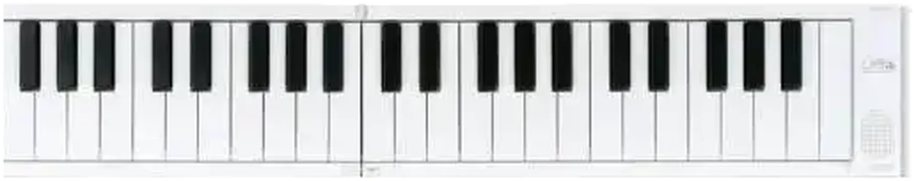 Carry-On Folding Piano 49 Keys Portable Piano Keyboard USB