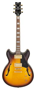 Ibanez JSM10em Signatuur van John Scofield Tweekleurige Burst
