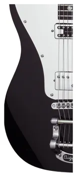Schecter Pete Dee PT Gloss Black