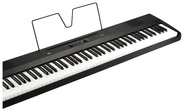 Korg Liano L1 Portable Digital Piano in Black