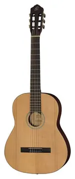 Ortega RST5M