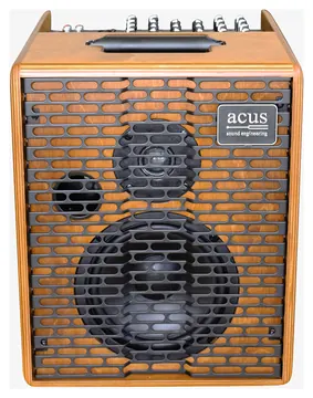 Acus ONE 6T Wood Amp