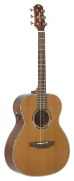 Strinberg Dm1 Ns Diamond Folk C/ Bag