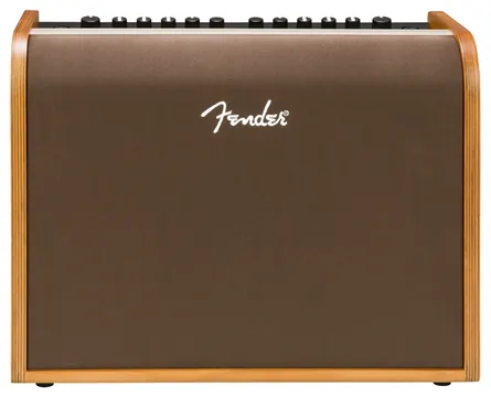 Fender Acoustic 100 | Vocal / Acoustic Guitar Amplifier
