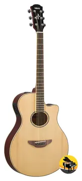 Yamaha APX600 NT