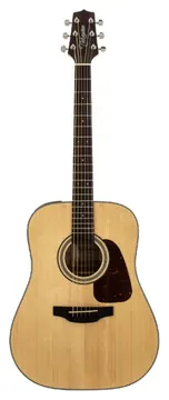 Takamine GD15E-NAT Chitarra Acustica