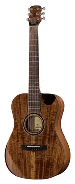 Journey Instruments OF882C Acacia Acoustic