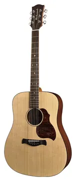 Richwood Master Series D-20 handmade dreadnought guitar