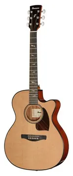 Ibanez PC34CE-NT