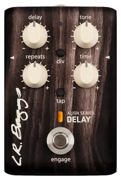 L.R. Baggs ALIGN Delay