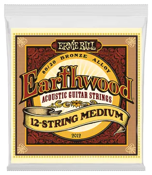 Ernie Ball EB 2012 Earthwood Bronze Medium 12-saitig