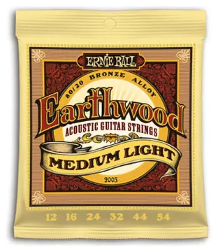 Ernie Ball EARTHWOOD BZ. MEDIUM LIGHT 12-54