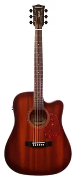Waldman DCEX441 Dreadnought Eletroacústico NB