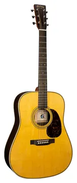 Martin D-28 Billy Strings