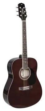 Giannini Folk GD-1 EQ TDW