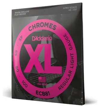 D'Addario ECB81 Set Long Scale Flatwound Bass strings 45-100