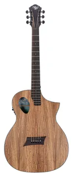 Michael Kelly Forte Exotic Electro Acoustic Guitar