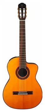 Takamine GC-5CE TP-4T
