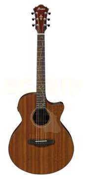 Ibanez Chitarra Acustica Elettrificata Natural Low Gloss ae295l