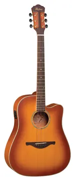 Hofma Fishman Aço com Case HMP350 Hofma Satin