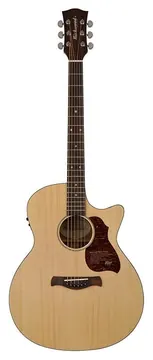Richwood g22ce grand auditorium chitarra acustica elettrificata