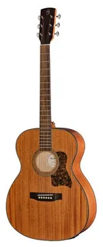 Harley Benton CLO-65ME NT
