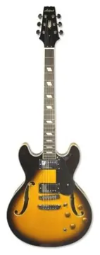 Aria TA Classic Hollow Body Guitar Brown Sunburst