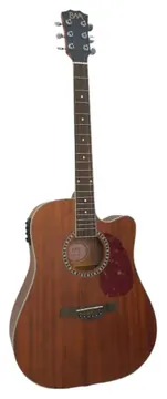 EWA Laura EFX Aço Cutaway MHS C/Bag